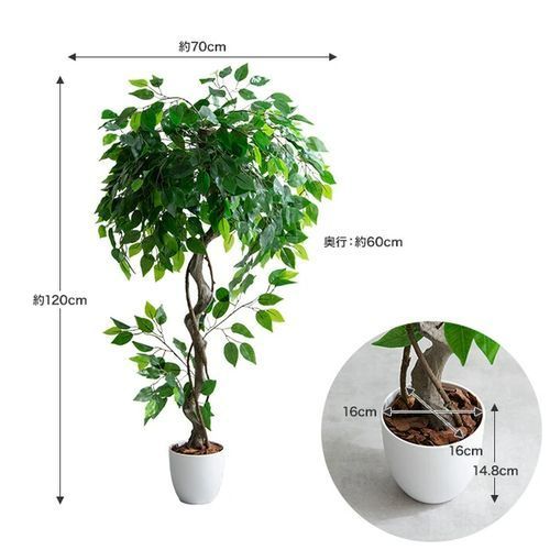 光触媒人工観葉植物