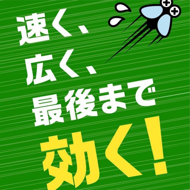 【最安値激安】 アース製薬 アース虫よけネットEX あみ戸用 1年用 10個セット ネットタイプ ユスリカ チョウバエ キノコバエ ヌカカ 貼るタイプ 虫よけ 害虫対策 送料無料！