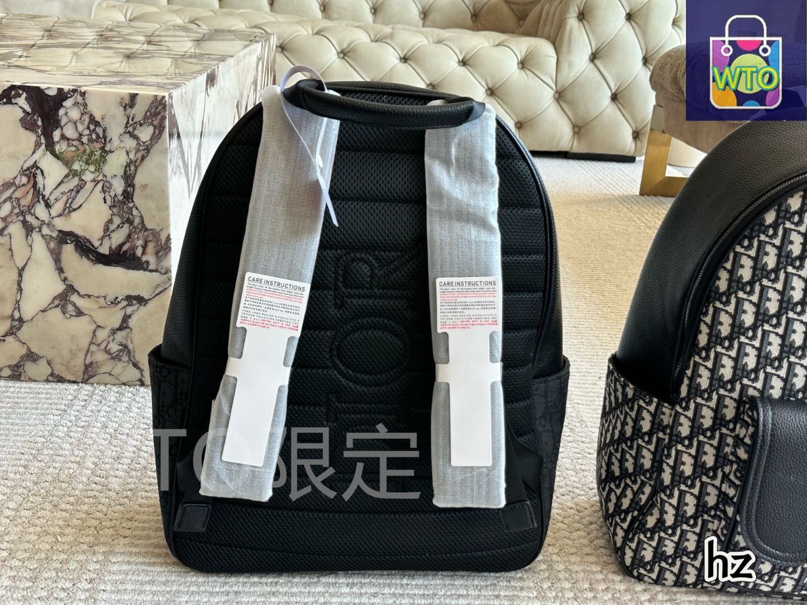 DIOR Rider ライダー　バックパック Rider 2.0 Zipped Backpack Black Dior Gravity Leather and