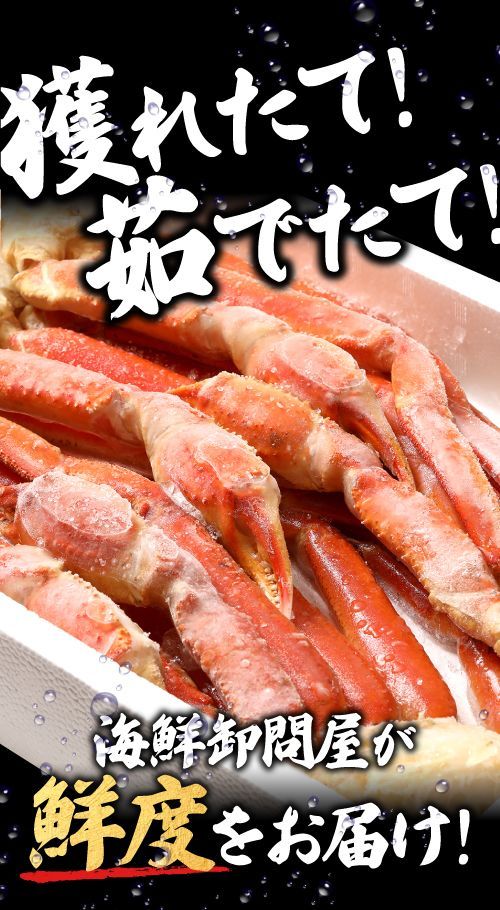 約5肩前後入