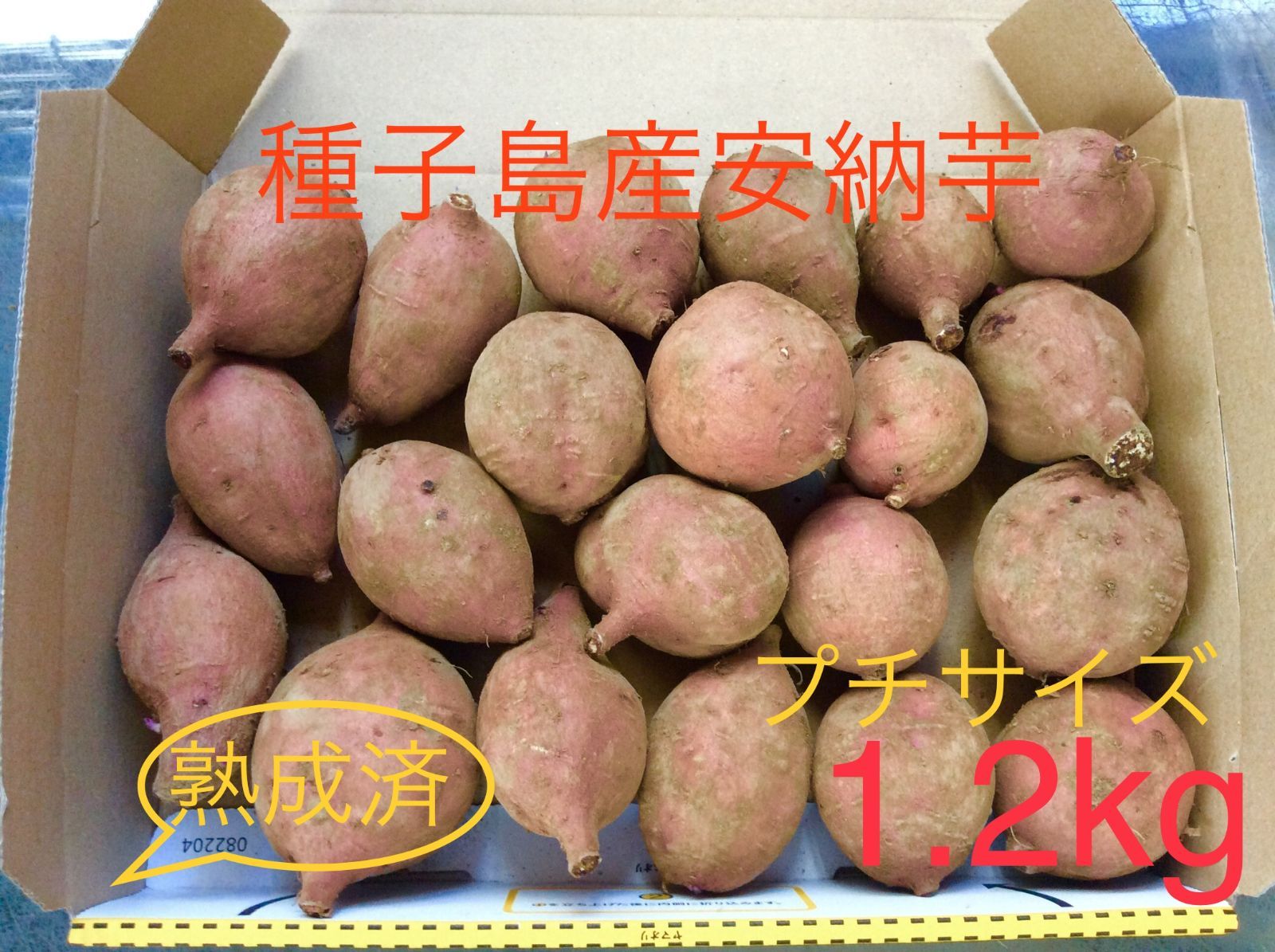 安納芋 種子島産 プチサイズ1.2kg さつまいも 農薬:栽培期間中不使用