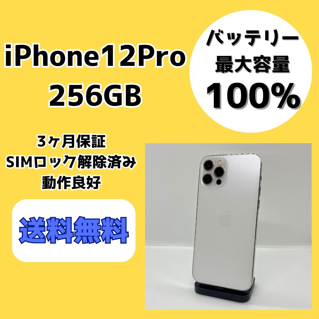 バッテリー最大容量100％】iPhone13Pro 256GB シエラブルー【SIMロック