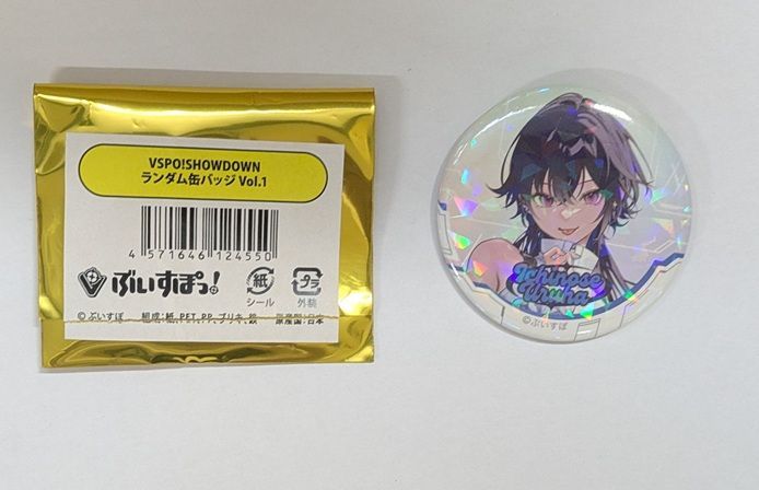VS AMBIVALENZ ホログラム缶バッジコレクション~ FIRST AND LAST