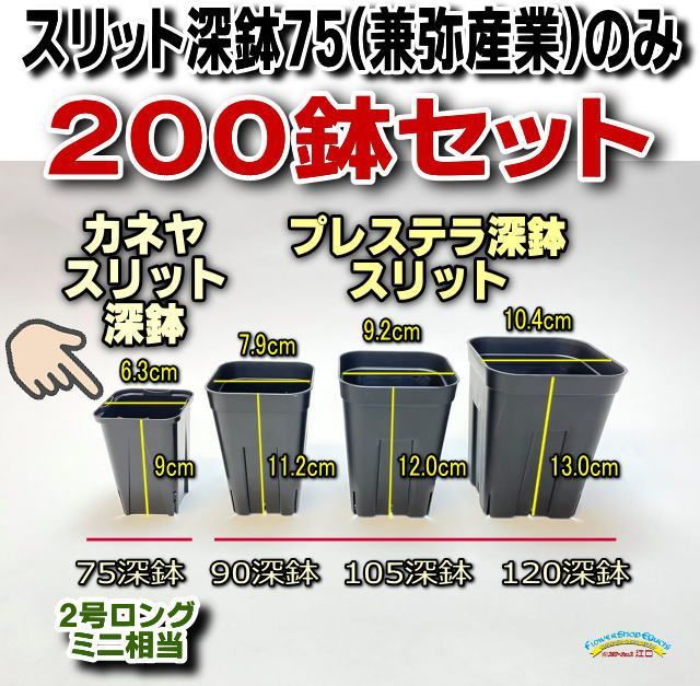 値下げOK 完全遮光防音防熱 配送 縦185×横110(210)2枚 ブルー ドレープ