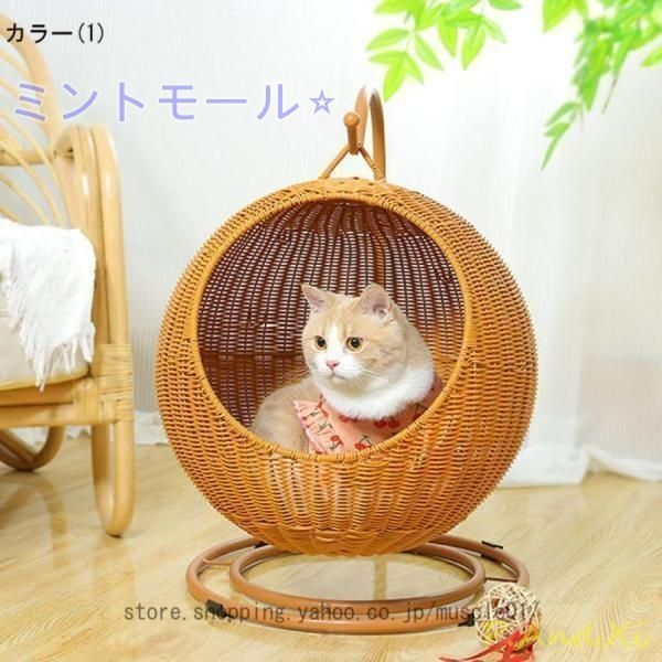 猫小屋スイング