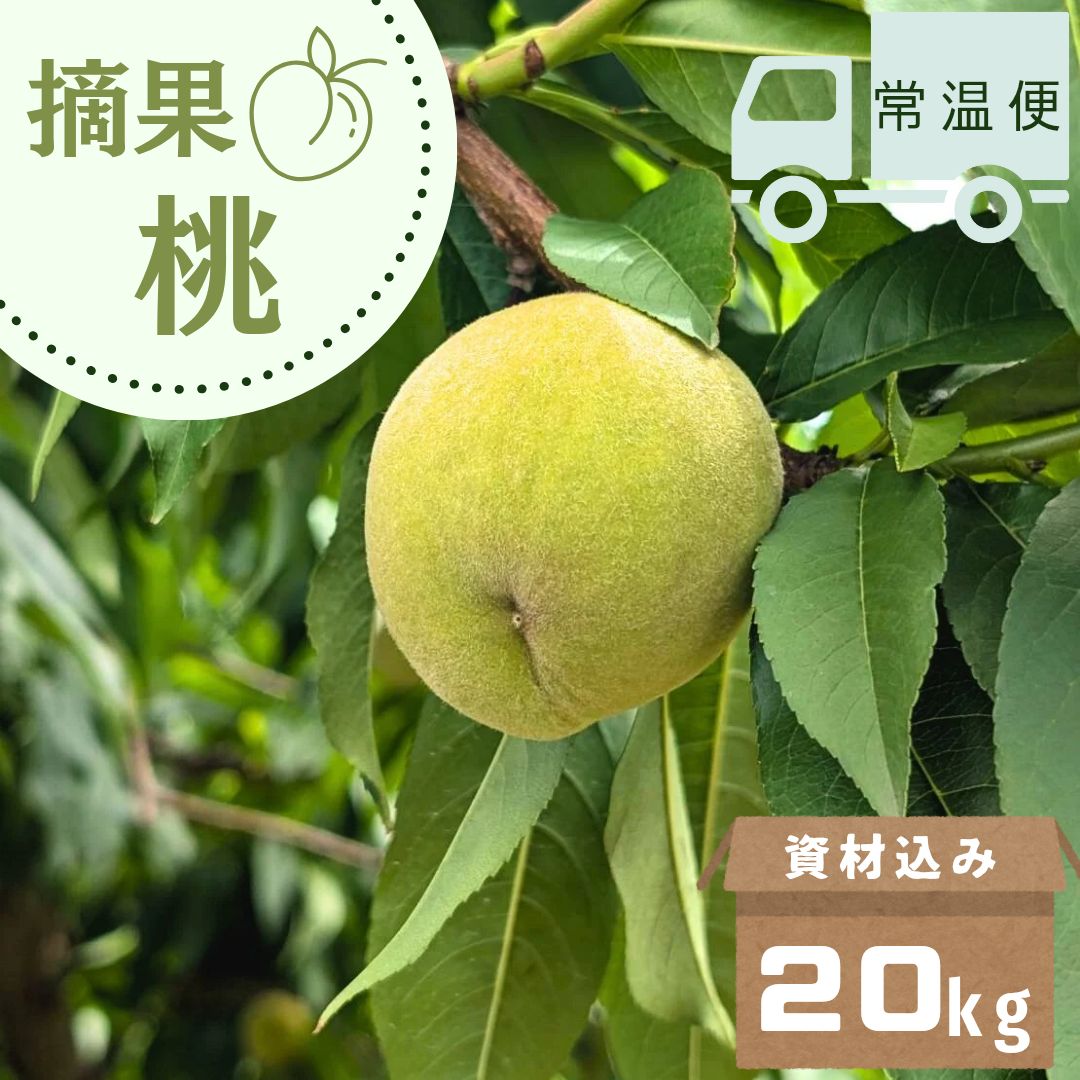 山梨県産 若桃 摘果桃 農薬除草剤不使用♡♡ 桃酒 加工用