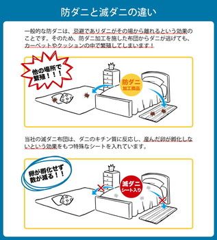 無地 シンプル