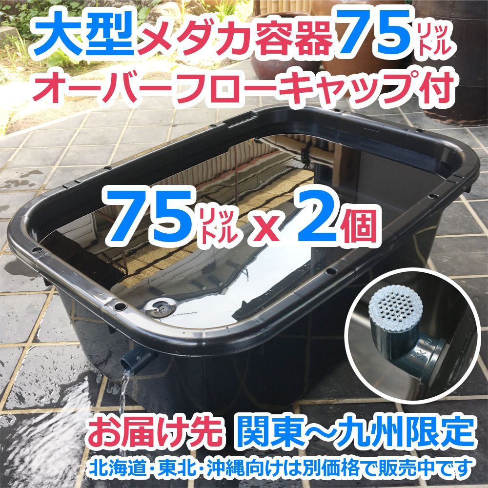 メダカ飼育ケース 75㍑黒x2個 オーバーフローキャップ付（関東～九州へ 