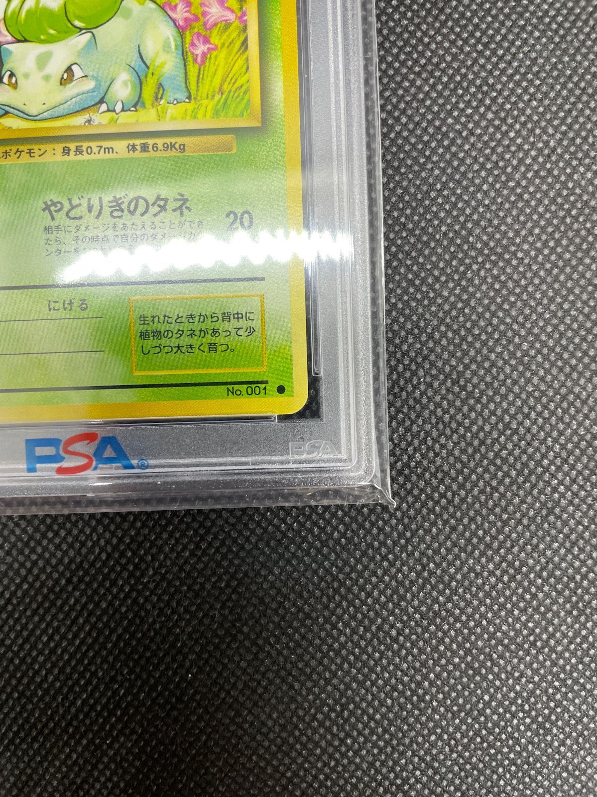 PSA鑑定品】旧裏 フシギダネ LV.13 PSA9 ポケモンカード 拡張パック第