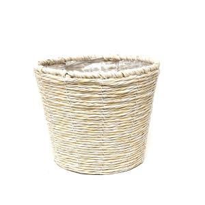 3営業日で発送 PE D6 クリーム P付 12334 入数 5