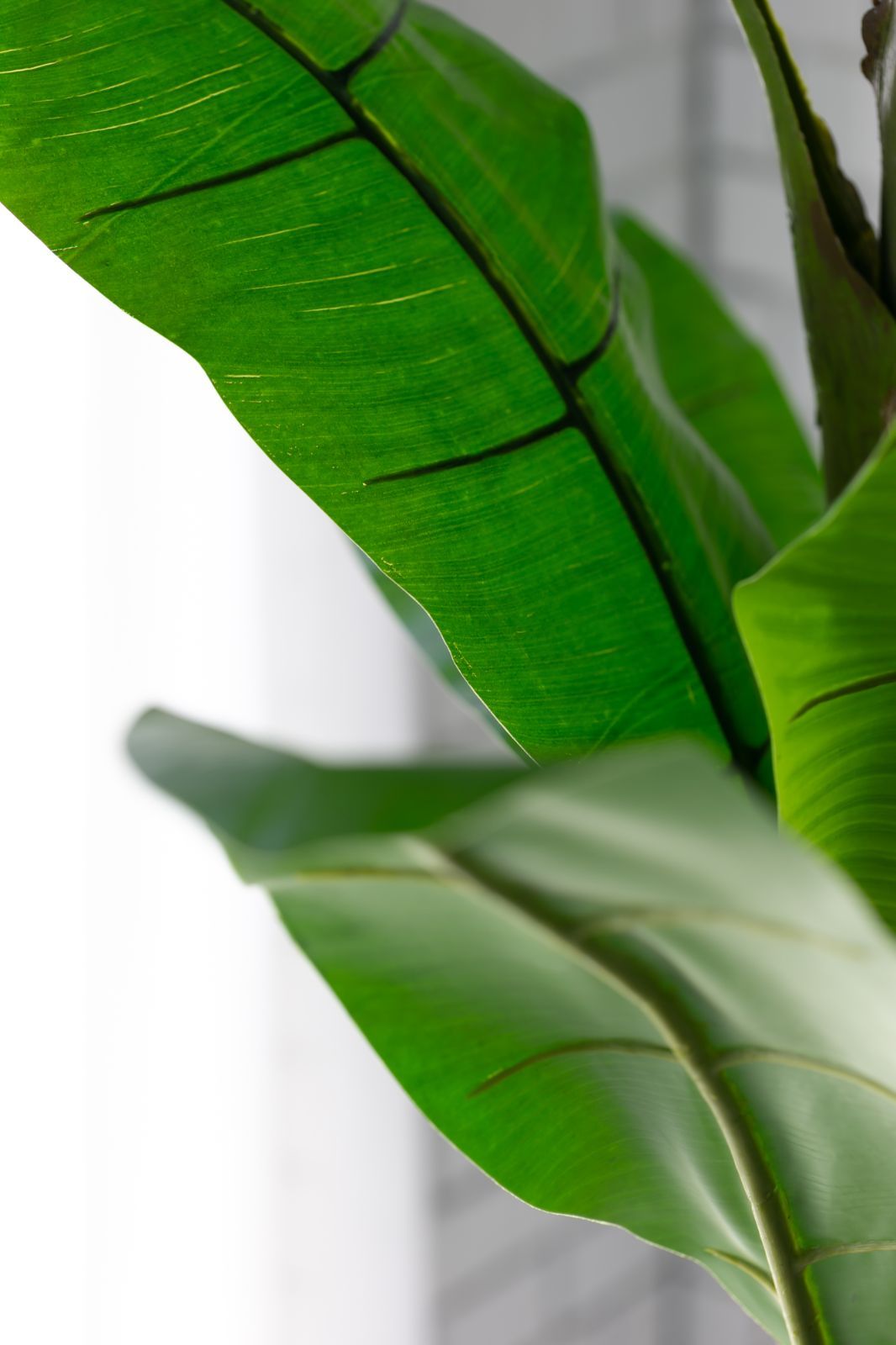 フェイクグリーン 大型 超リアル おすすめ H200cm バナナツリー