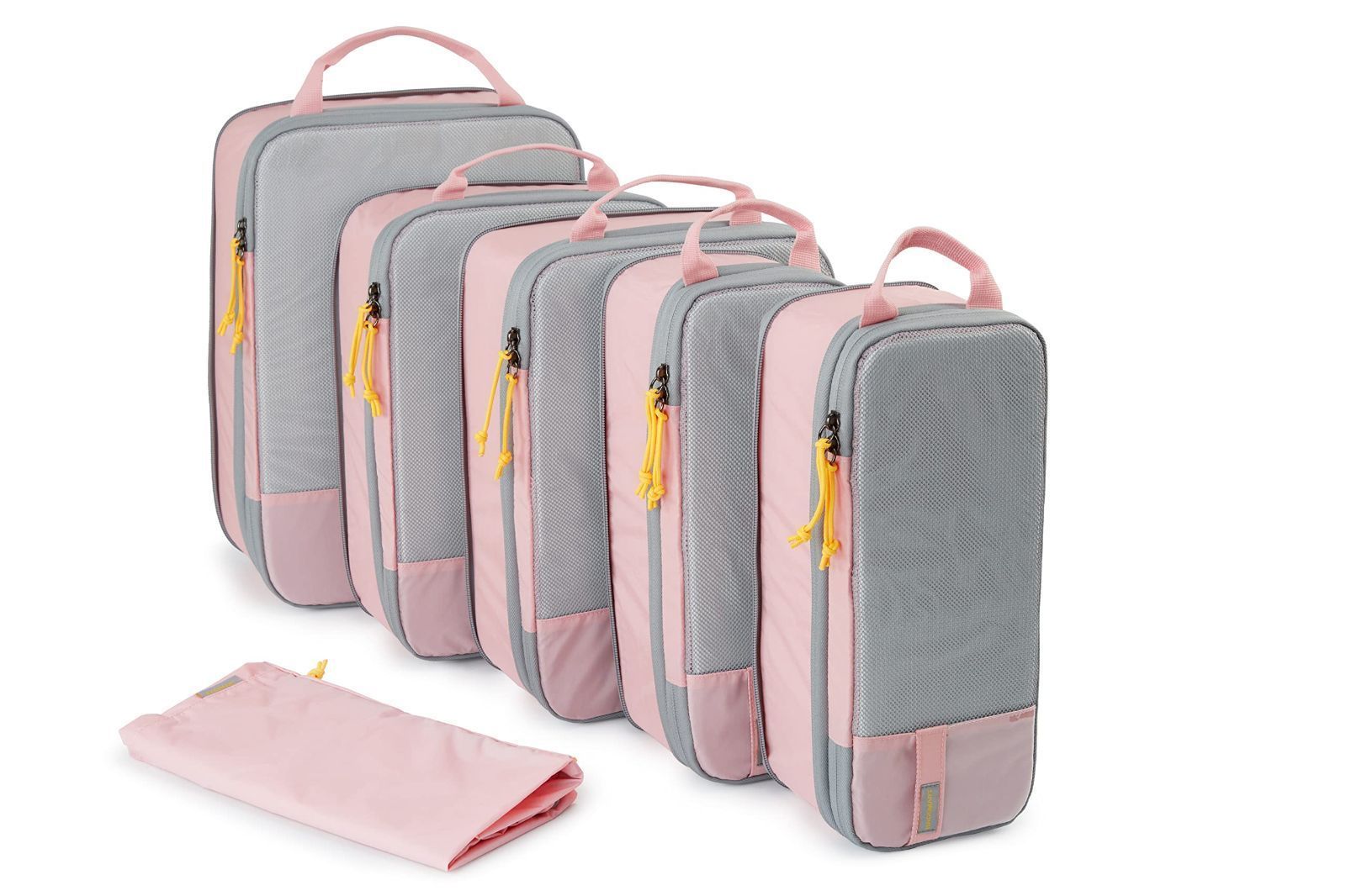 2024 坂崎千春 リトグラフ「ホリデイ」