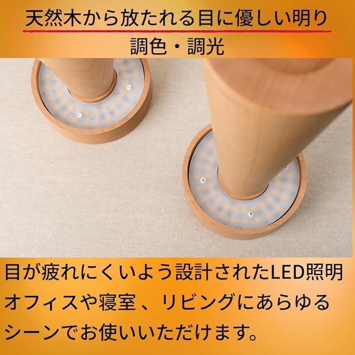 ブナ 間接照明
