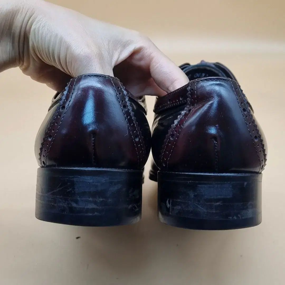 Dolce-Gabbana ドルチェ＆ガッバーナ