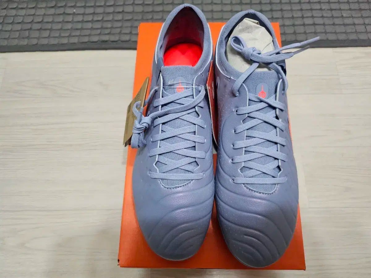 ナイキ ティエンポ レジェンド 10 プロ FG DV4333-402