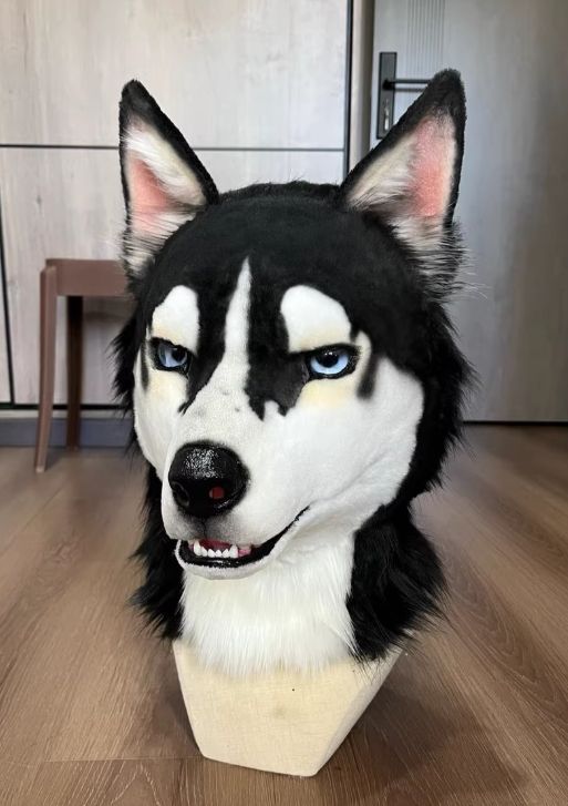 犬