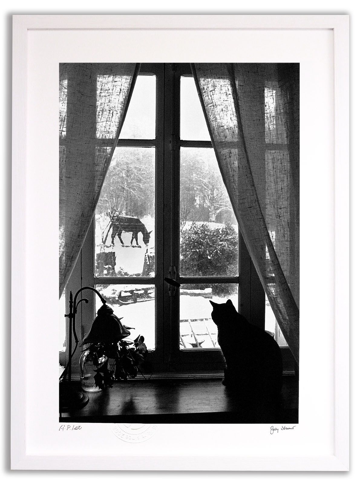 今井アレクサンドル 作品2016(お値段交渉可) 今井アレクサンドル 作品