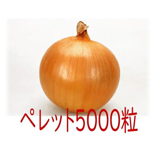 お野菜 今週の野菜 | オーガニック農園 しあわせ野菜畑