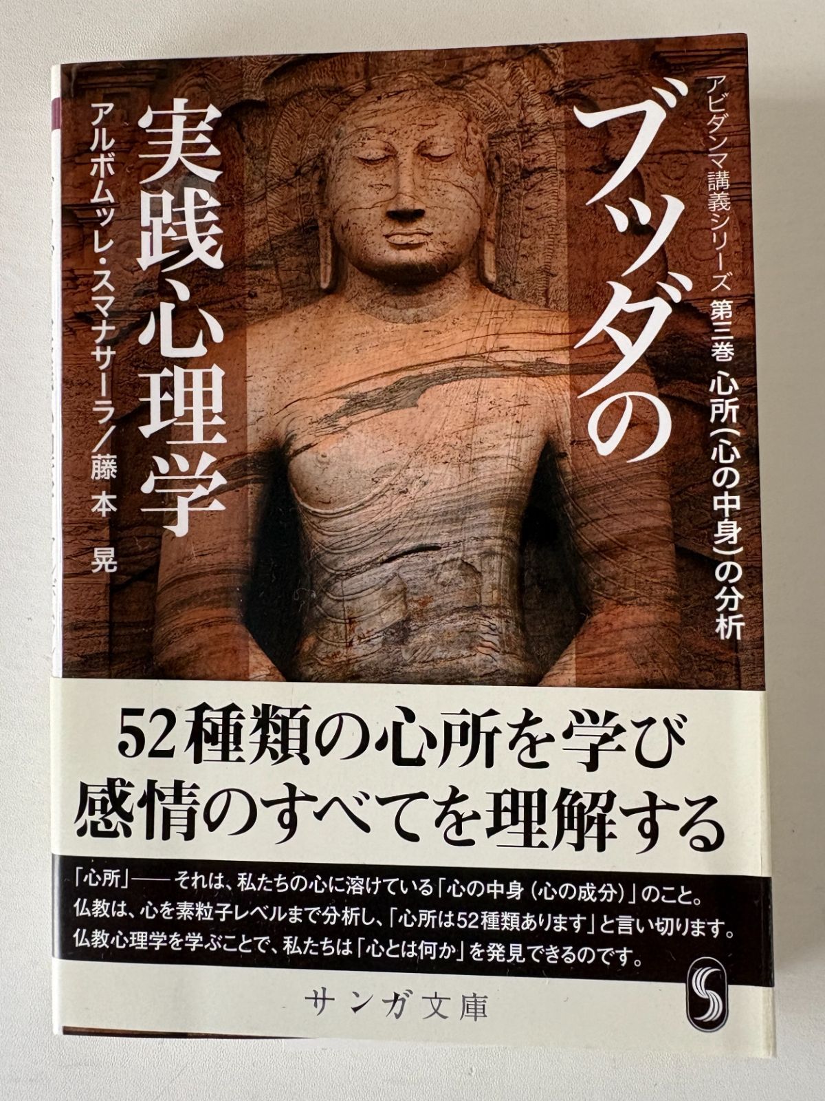 ブッダの実践心理学 : アビダンマ講義シリーズ 第4巻 (心の生滅の分析) ブッダの実践心理学 第四巻 心の生滅の分析 アビダンマ講義