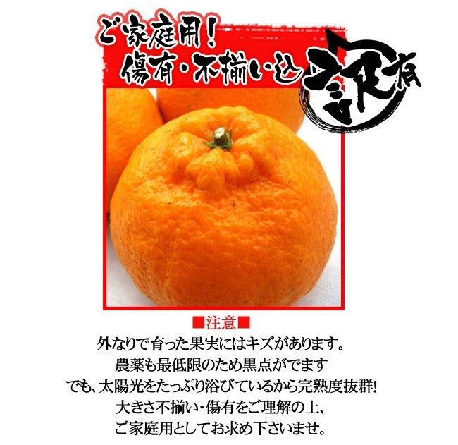 のサムネイル