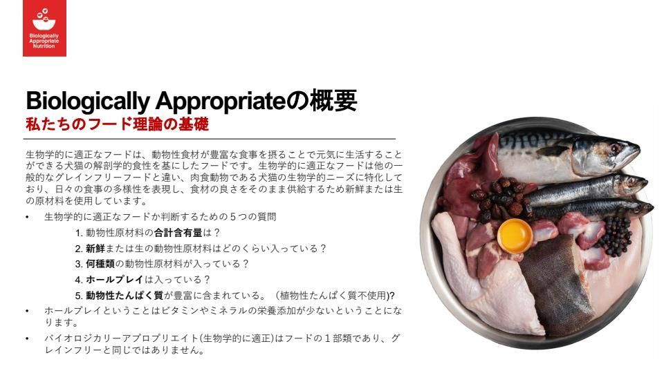オリジナル