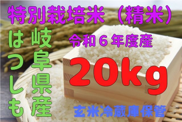 岐阜県特産はつしも玄米20kg（特別栽培米）令和6年度産（農家直販 