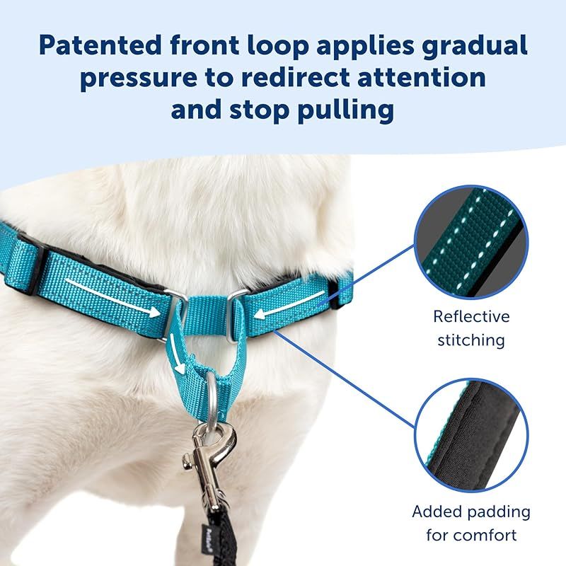 PetSafe