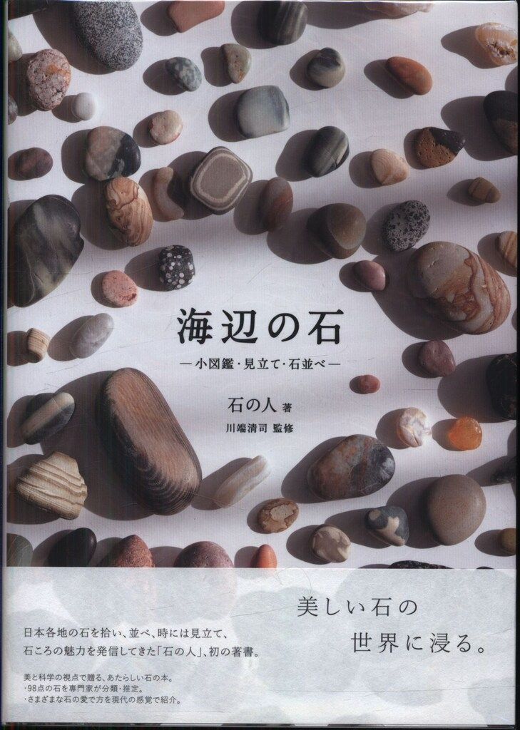 メルカリ出品石地蔵4　　NO161 石の人 海辺の石 小図鑑・見立て・石並べ - メルカリ