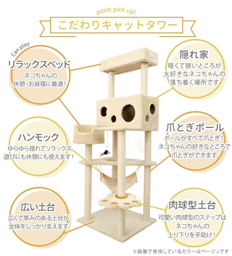 ネコ 人気
