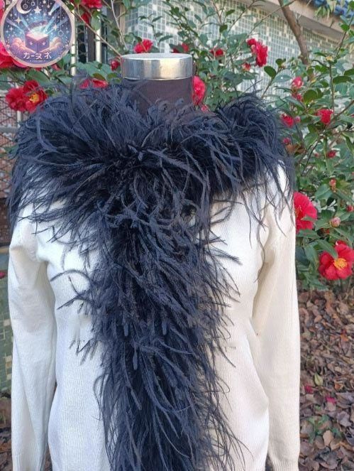 オーストリッチフロート 羽根