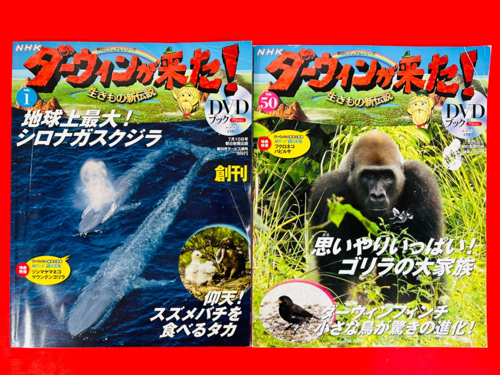 DVDブック【NHKダーウィンが来た!生きもの新伝説1-50巻・全巻完結 
