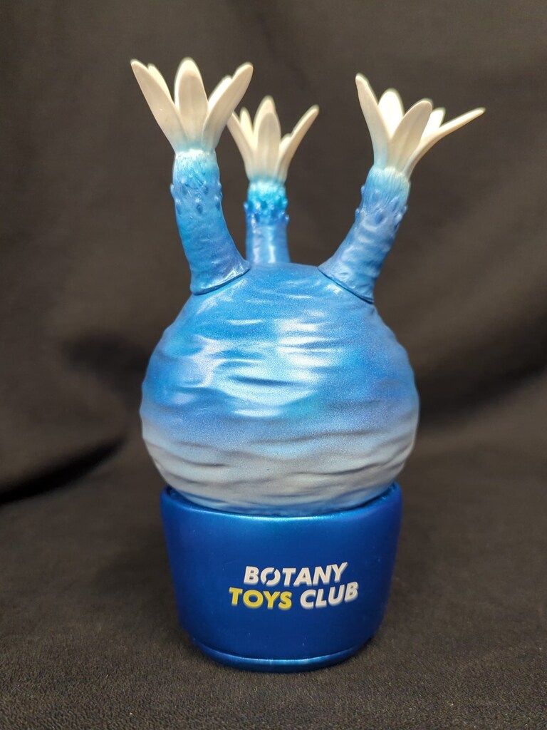 BOTANY TOYS CLUB VCD Pachypodium Gracilius BLUE METALLIC Ver.
