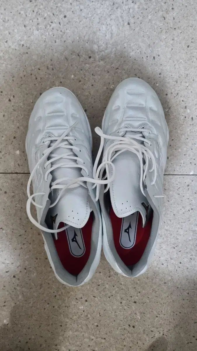 ミズノ プロ クッション レボ 265