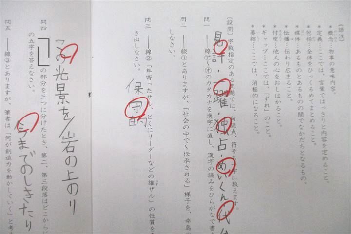 SAPIX 小学6年 サンデーサピックス 読解力講座 SSS2A-02〜14 計13回分セット 2020 045M2D SAPIX 小学6年 サンデーサピックス 読解力講座 SSS2A-02〜14 計