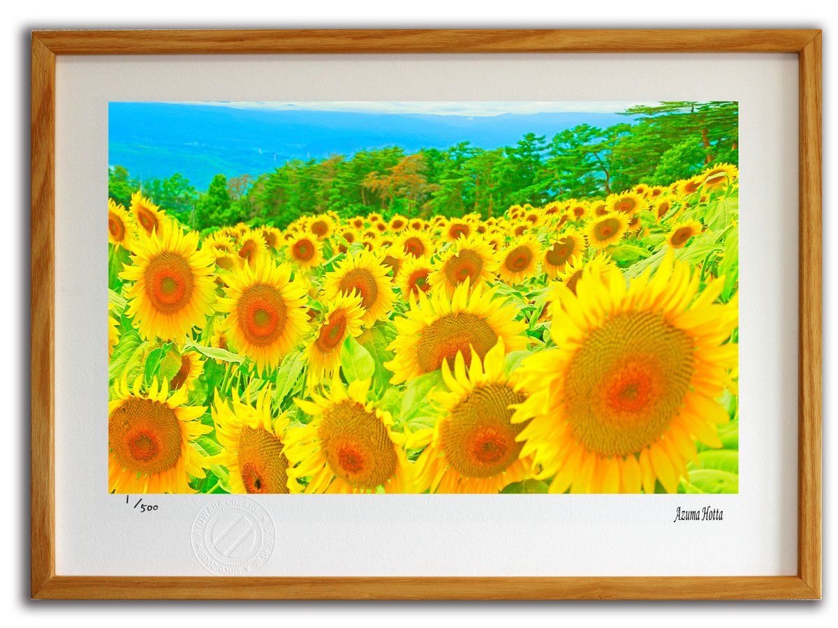 「光を纏う河津桜」SMキャンバス　桜風景画　画家painterTMK本人出品真筆 光を纏う河津桜」SMキャンバス 風景画 画家painterTMK本人出品真筆 光