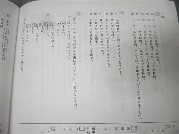 浜学園 小6 国語 知識分野の達人 テキスト ☆ 019S2D : ブックス