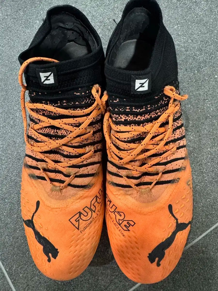 袋帯 新品 仕立て上がり 西陣 廣部商事謹製 桐 菊 桜 立涌 小難あり