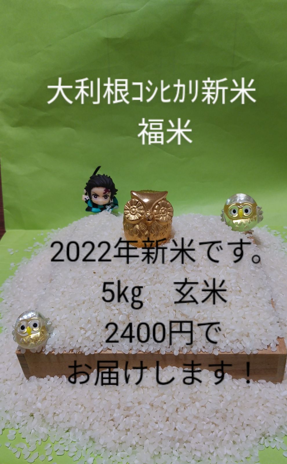 令和5年産 埼玉県加須市北川辺産コシヒカリ10kg - 米・雑穀・粉類