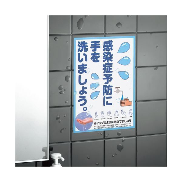 松村景文筆 雁双幅図 絹本彩色画 右（飛雁）左（川柳雁）（2025