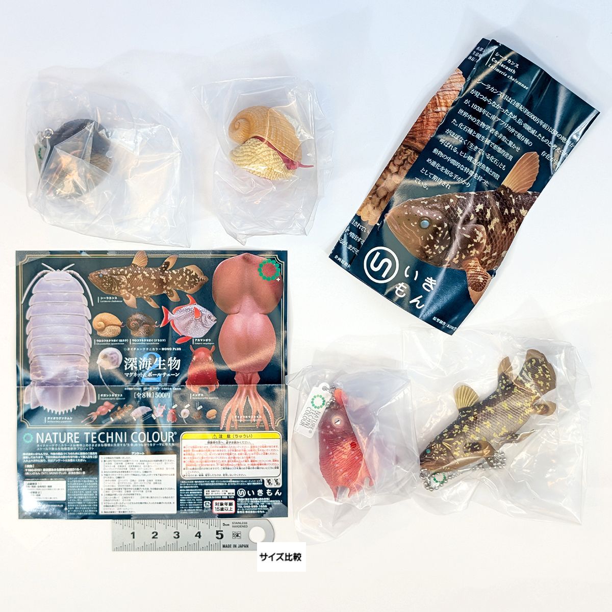 ネイチャーテクニカラー 南極 初版 全8種 コンプ 再販》ネイチャー