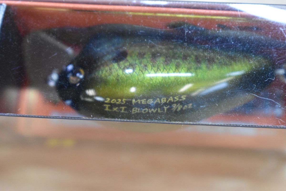 ブラックバス 釣り