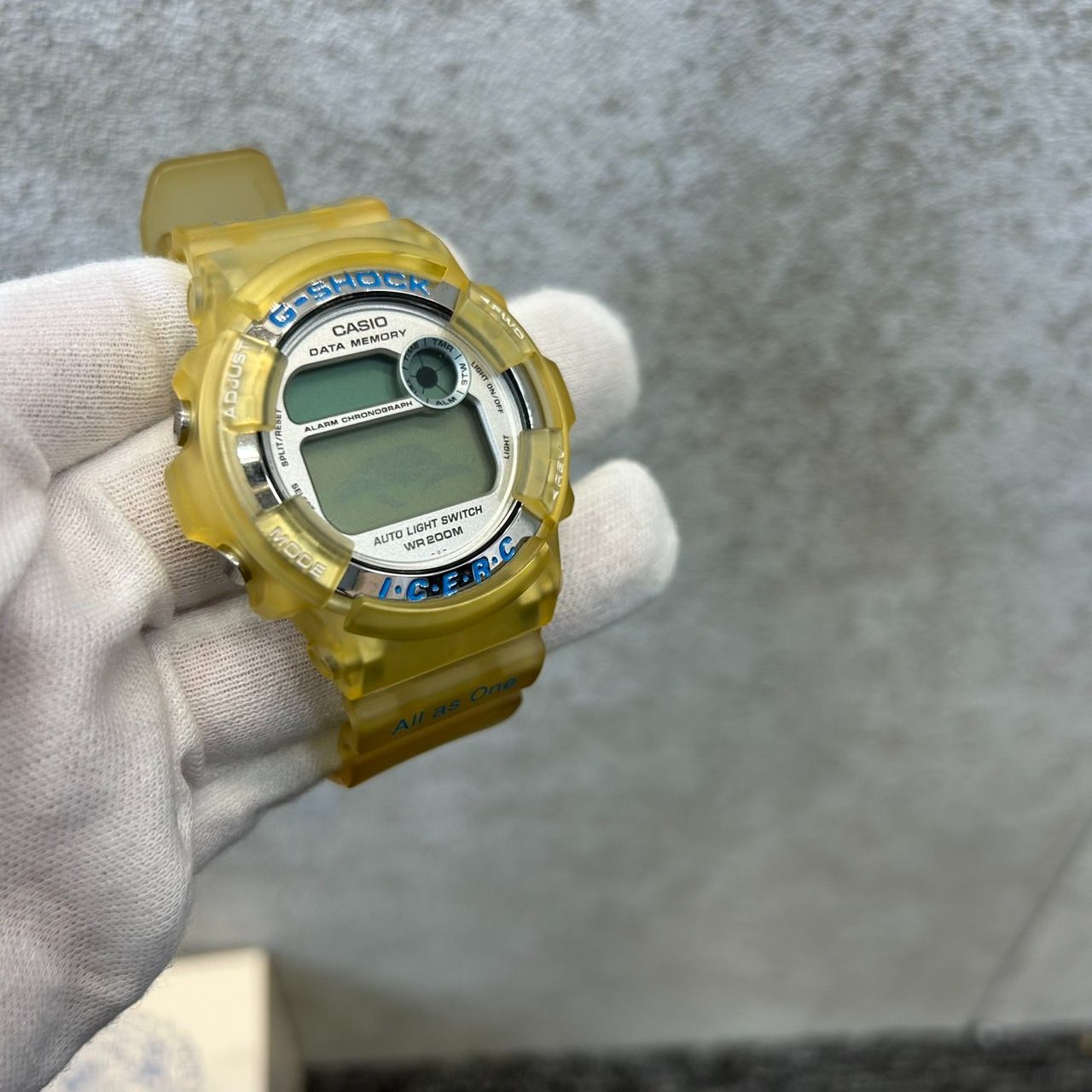 第7回国際イルカ・クジラ会議 DW-9200K カシオ CASIO G-SHOCK 第7回国際イルカ・クジラ会議 DW-9200K カシオ CASIO G-SHOCK