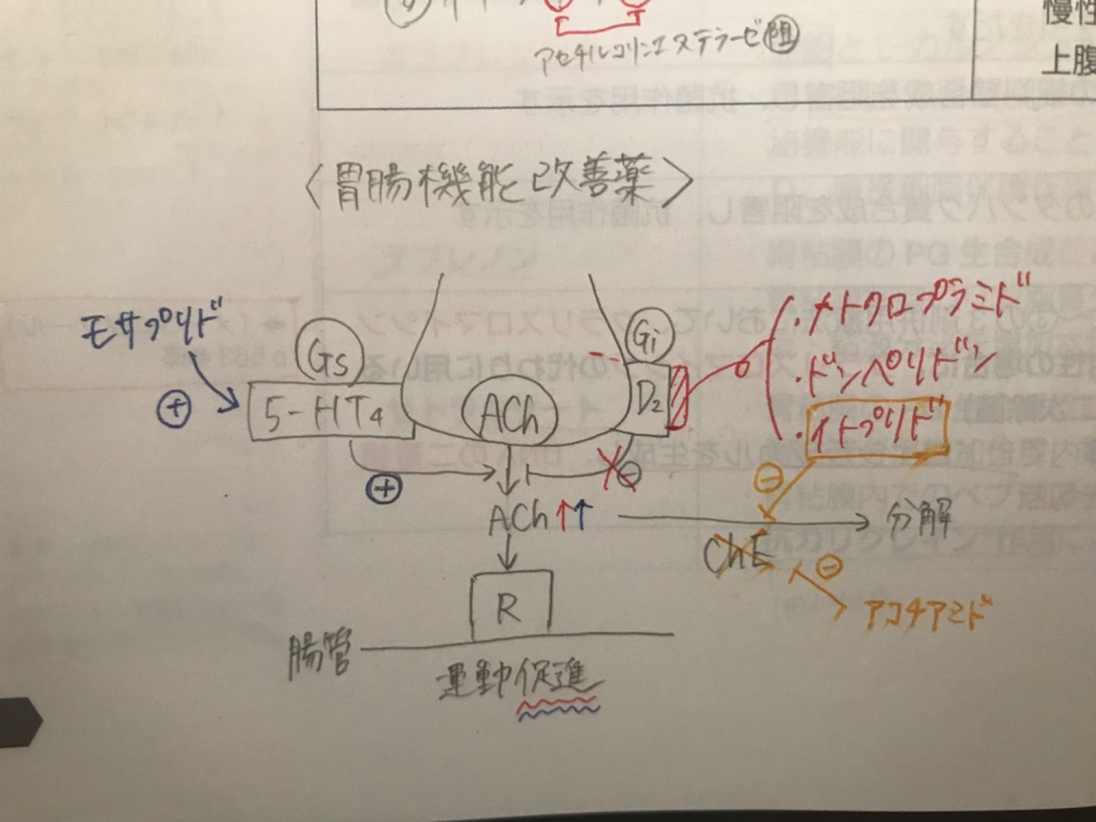 薬剤師国家試験　要点マスター青問2022年版❗️大幅値下げ 青本2022年版 - メルカリ