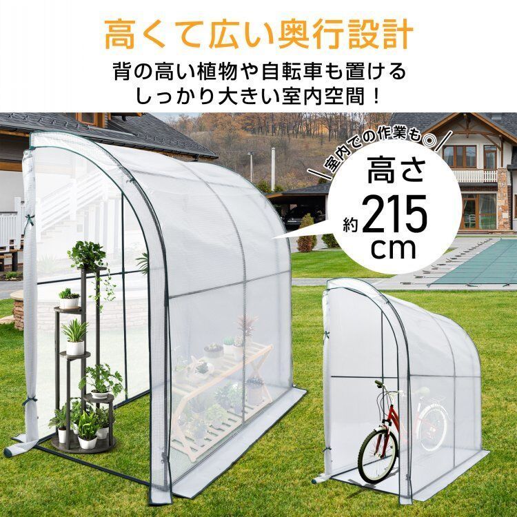 観葉植物