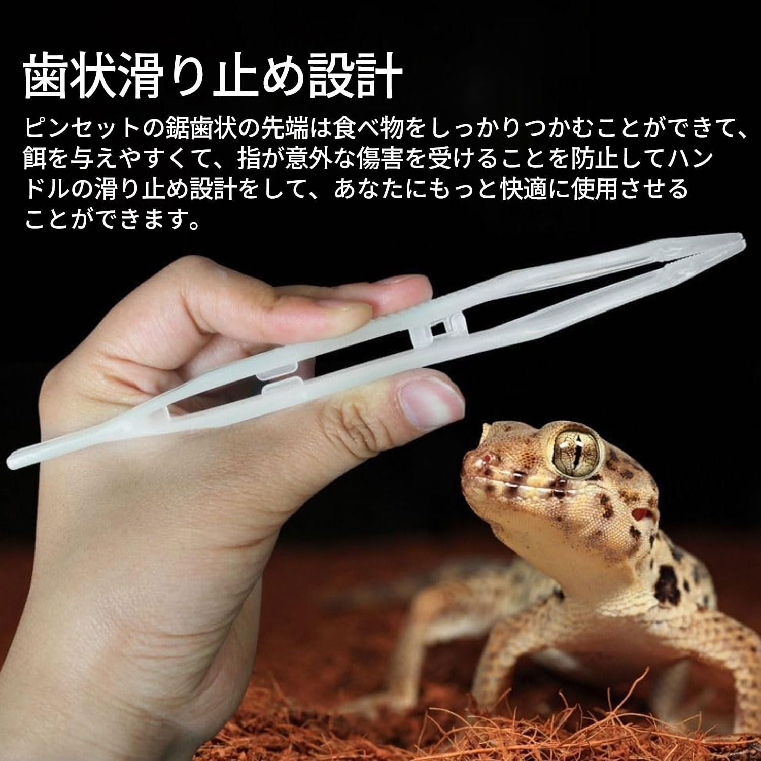 爬虫類・両生類のエサ ADL100 送料無料 通販 N 」です＊ 爬虫類・両生類のエサ - 爬虫類