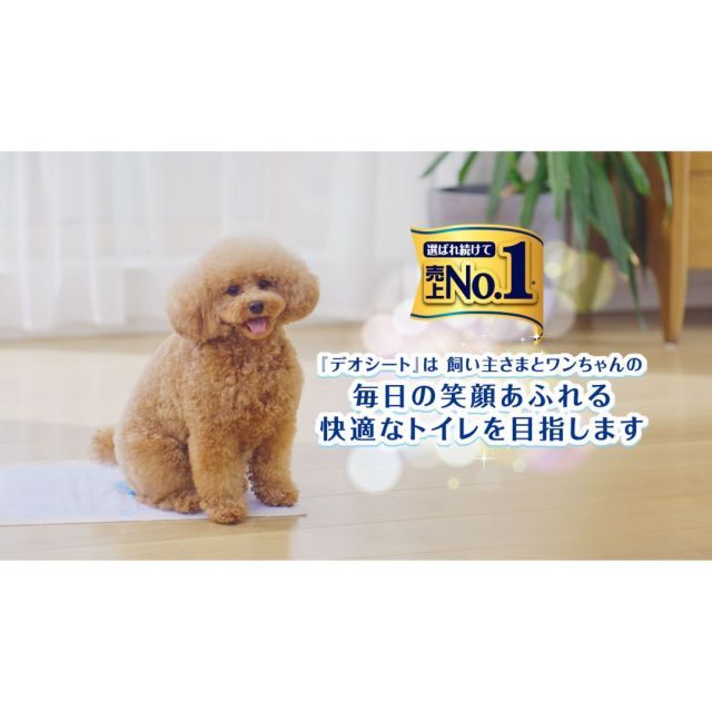 種類2 レギュラー 2個 デオシート しっかり超吸収 無香消臭タイプ 各種4袋 レギュラー 120枚 ワイド 60枚 犬用トイレ
