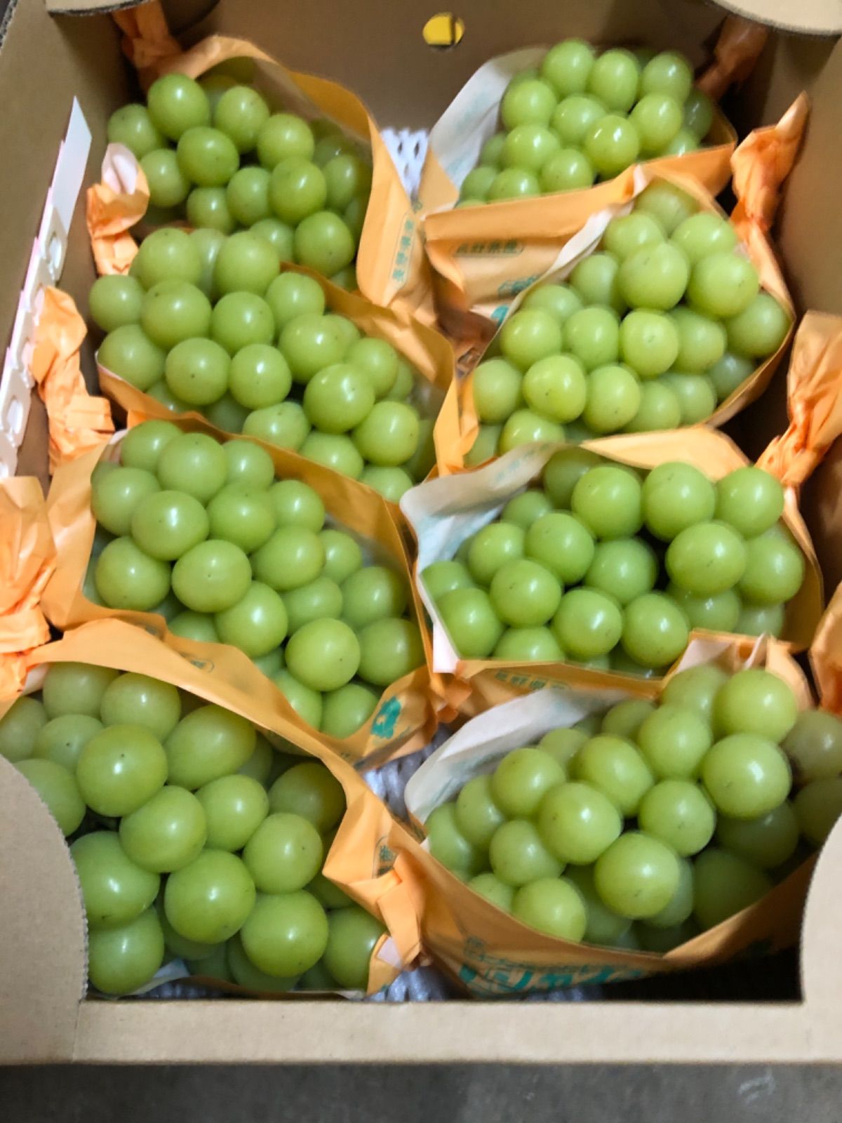 シャインマスカット 4L 8房入り 長野県産