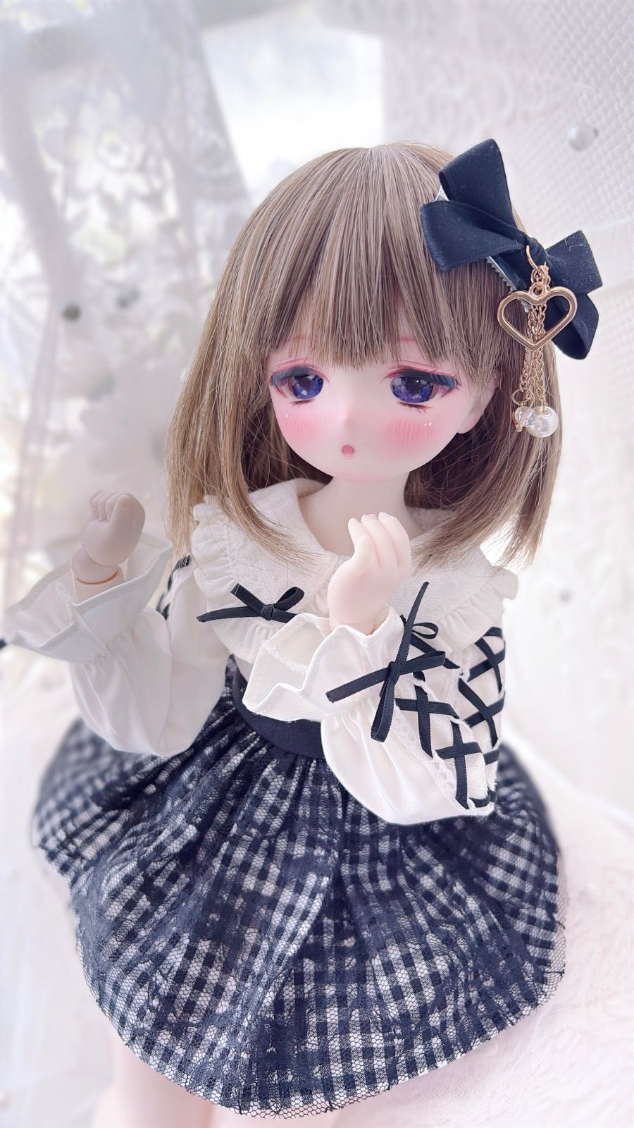 DDH-29 SW肌