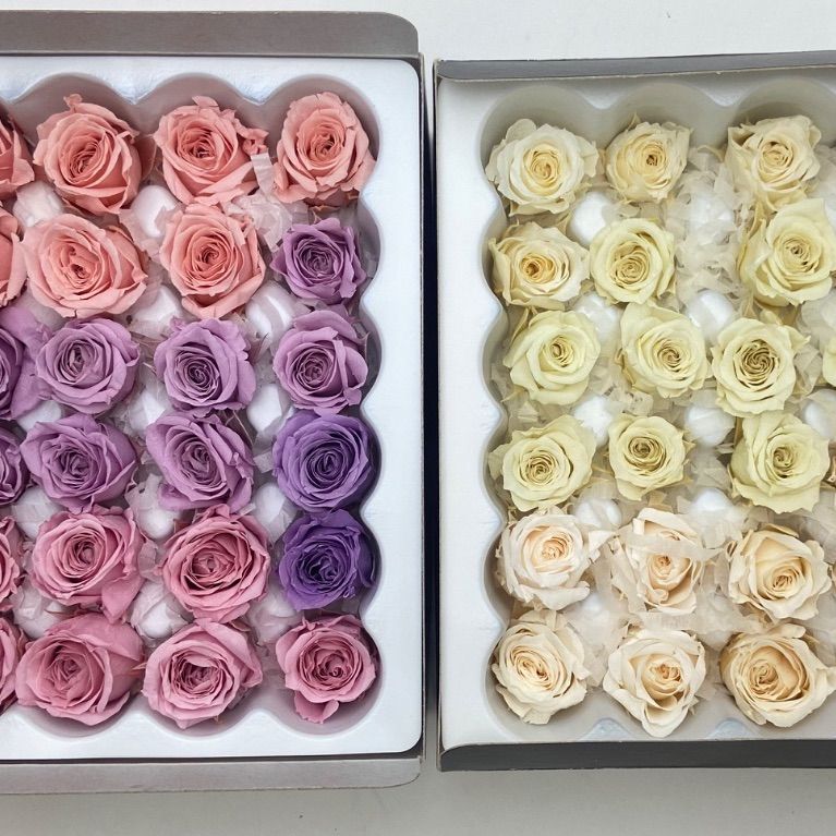 訳あり　プリザーブドフラワー　ローズ 訳あり プリザーブドフラワー ローズ rose gallery ginza プリザーブド