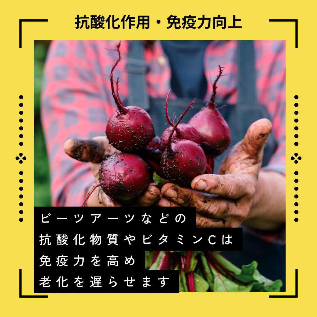 わんちゃん食堂